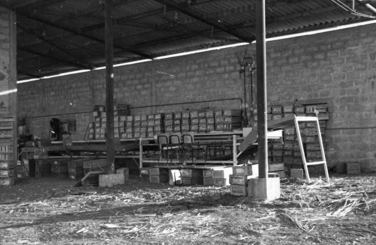 Kağızman Beslenme Uzmanı ve Diyetisyen – Kars Online Diyetisyen, Meyve Ağırlıklı Beslenme ve Çocuk Diyetisyeni